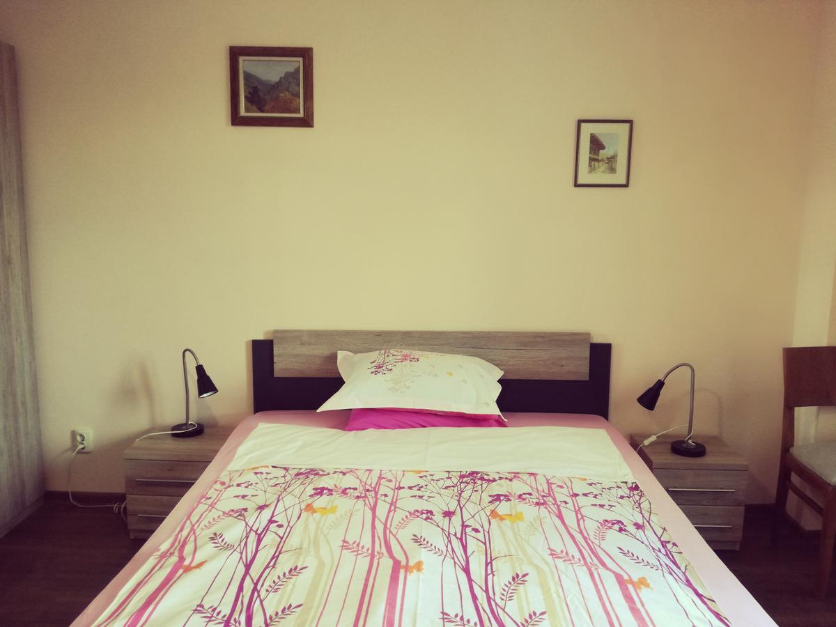 Apartment Durvenitza โซเฟีย ภายนอก รูปภาพ